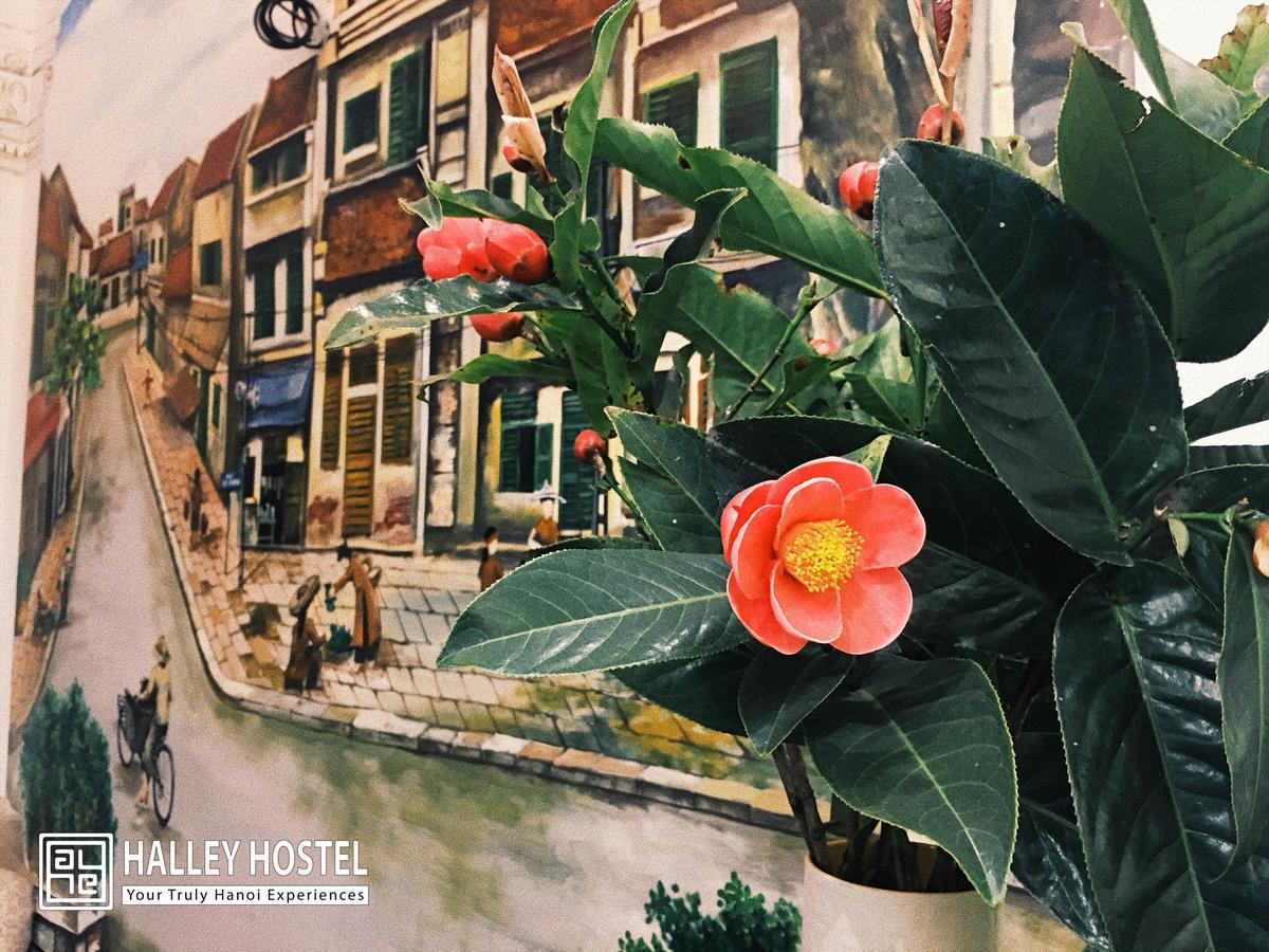 Halley Hostel Hanoi Eksteriør bilde